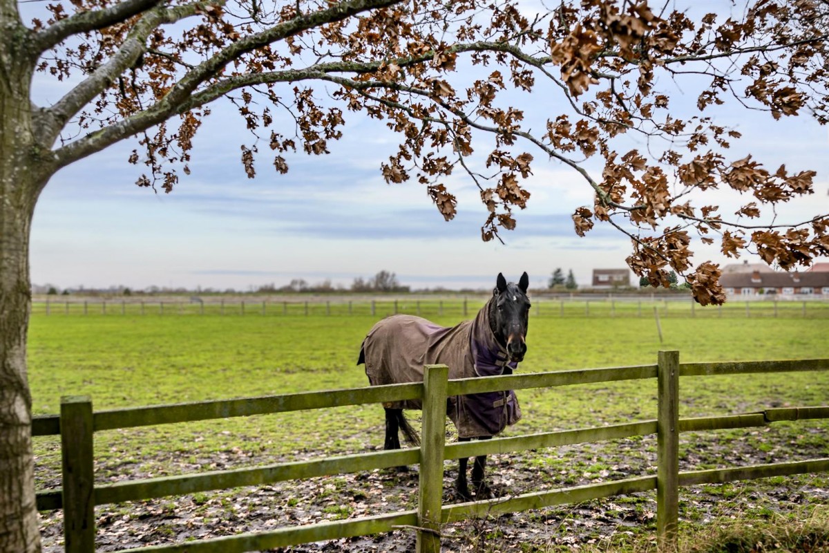 Images for Sacheverell Grange, Barton-in-Fabis